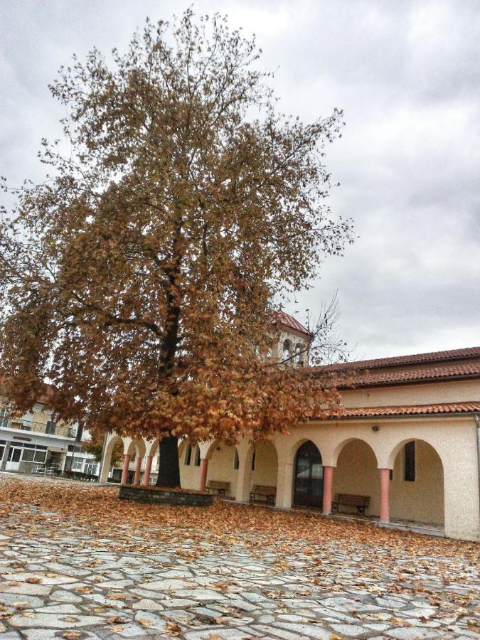 Village House Grevena Esterno foto